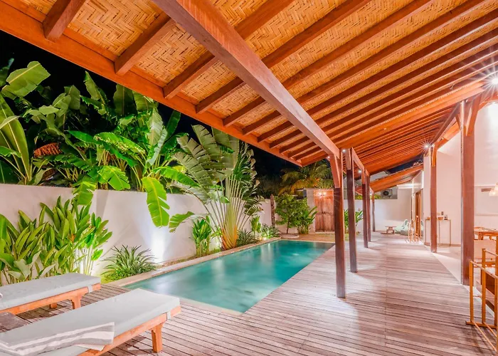 Palm Paradise
